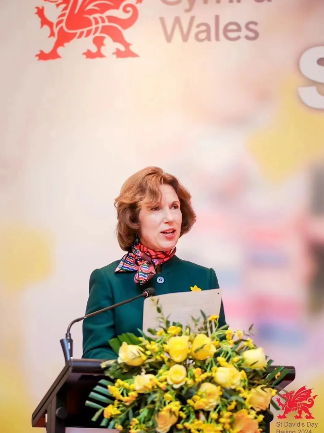 1709540915521543.png image.png